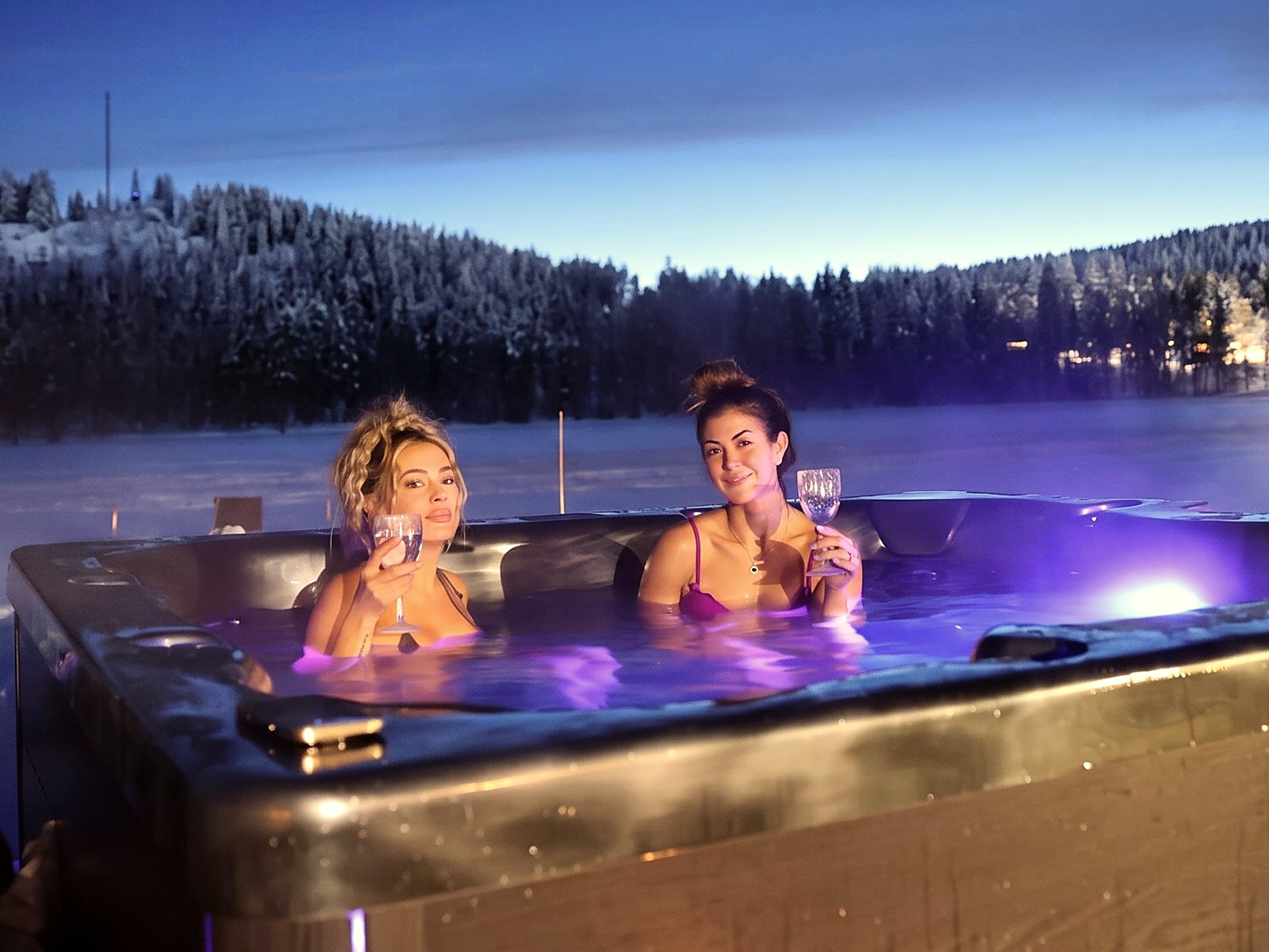 Steaming outdoor hot tub and ice bath surrounded by snow-laden pine trees at night.